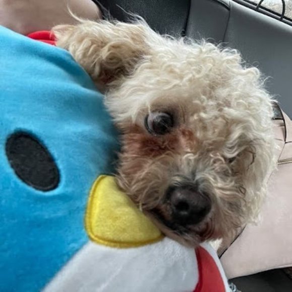 Meet your Posher, Jaslyn - Picture 1 of 1